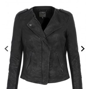 Zaire Leather Collarless Biker Jacket in Black; US size 8